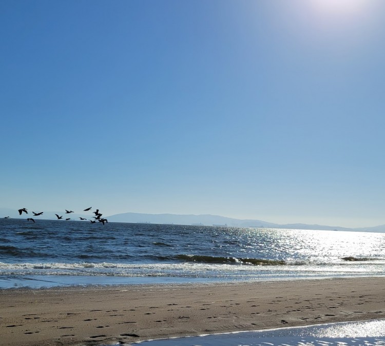 alameda-south-shore-beach-photo